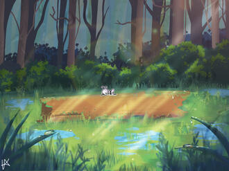 After Rain